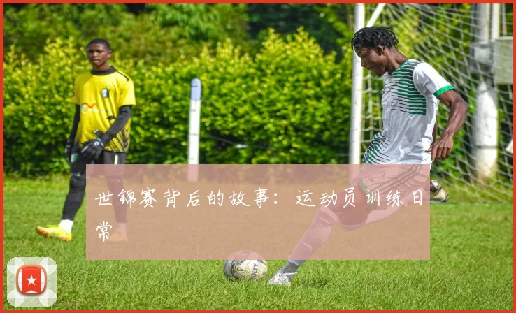 世锦赛背后的故事:运动员训练日常