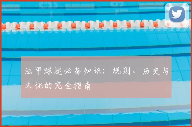法甲球迷必备知识：规则、历史与文化的完全指南