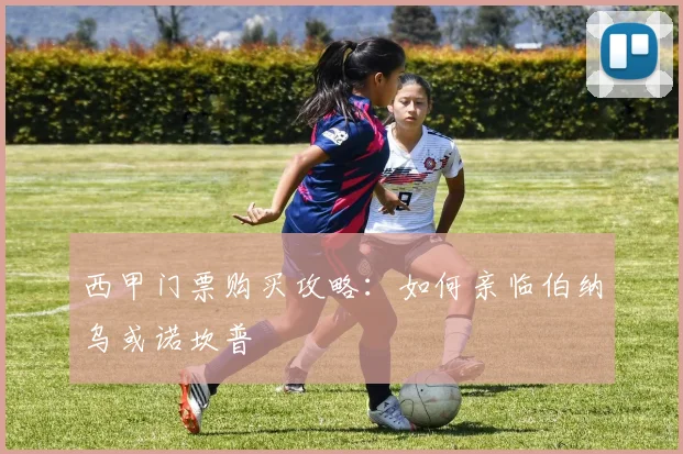西甲门票购买攻略：如何亲临伯纳乌或诺坎普