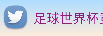 足球世界杯竞猜网站 Logo